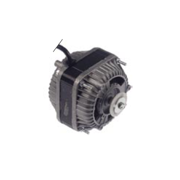 Motor 10W