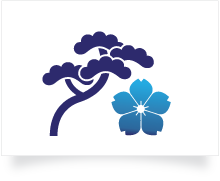 Decoratiuni