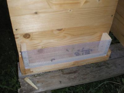 Dispozitiv antifurtisag