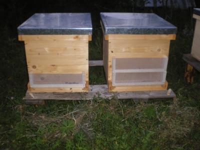 Dispozitiv antifurtisag