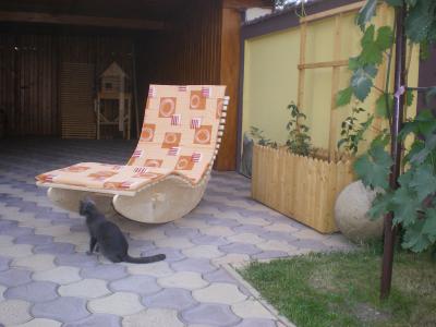 Sezlonguri, balansoare