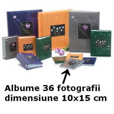 Albume foto