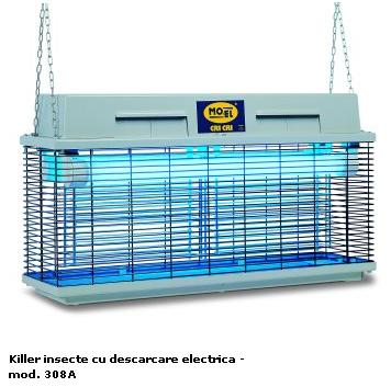 Killere insecte
