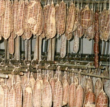 Plasa alimentara