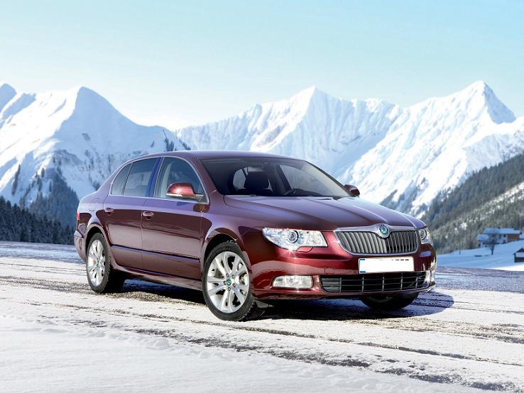 Scuturi metalice Skoda