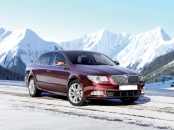 Scuturi metalice Skoda