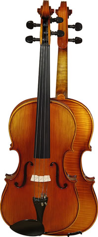Viole
