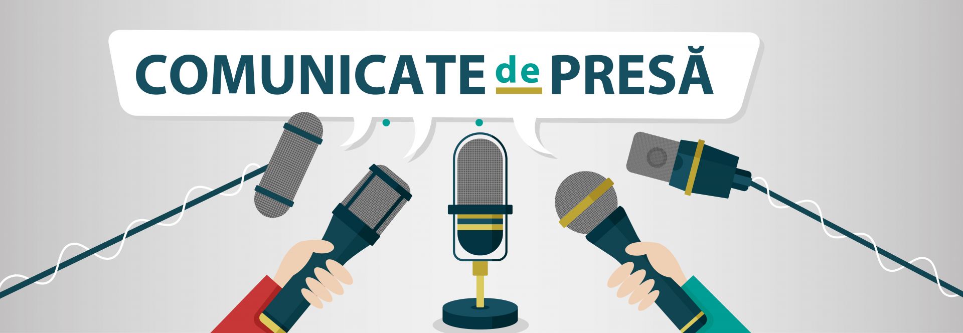 Publicare comunicate de presa lansare proiecte IMM
