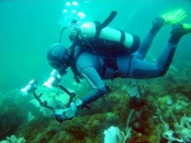 Curs advanced scuba diver