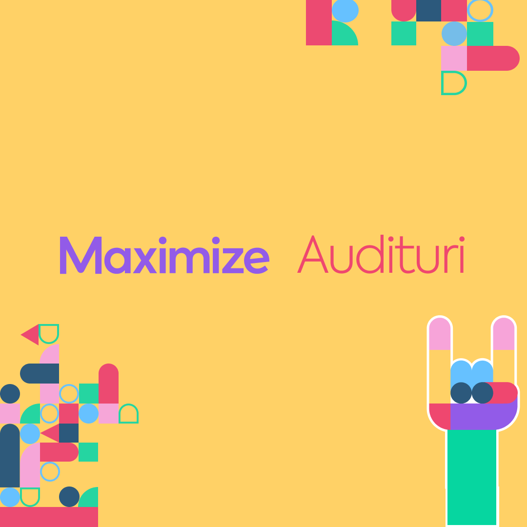 Audit PPC
