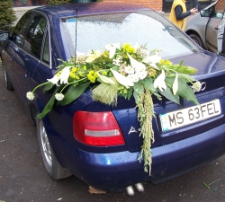 Aranjamente masini