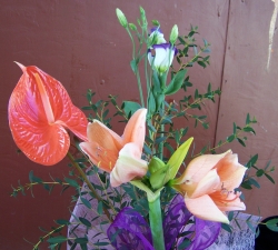 Buchete eustoma