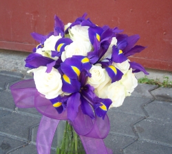 Buchete iris