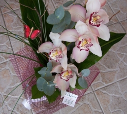 Buchete orchidee
