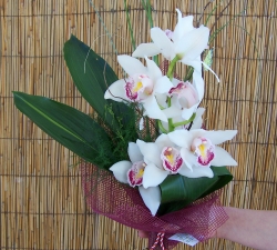 Buchete orchidee