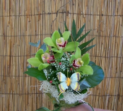 Buchete orchidee
