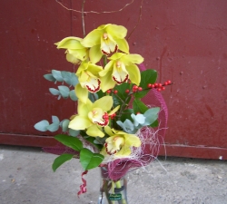 Buchete orchidee
