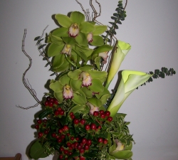 Buchete orchidee