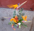 Buchete strelitzia
