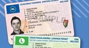 permis de conducere Suedia