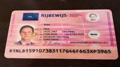 Cumpărați permis de conducere olandez
