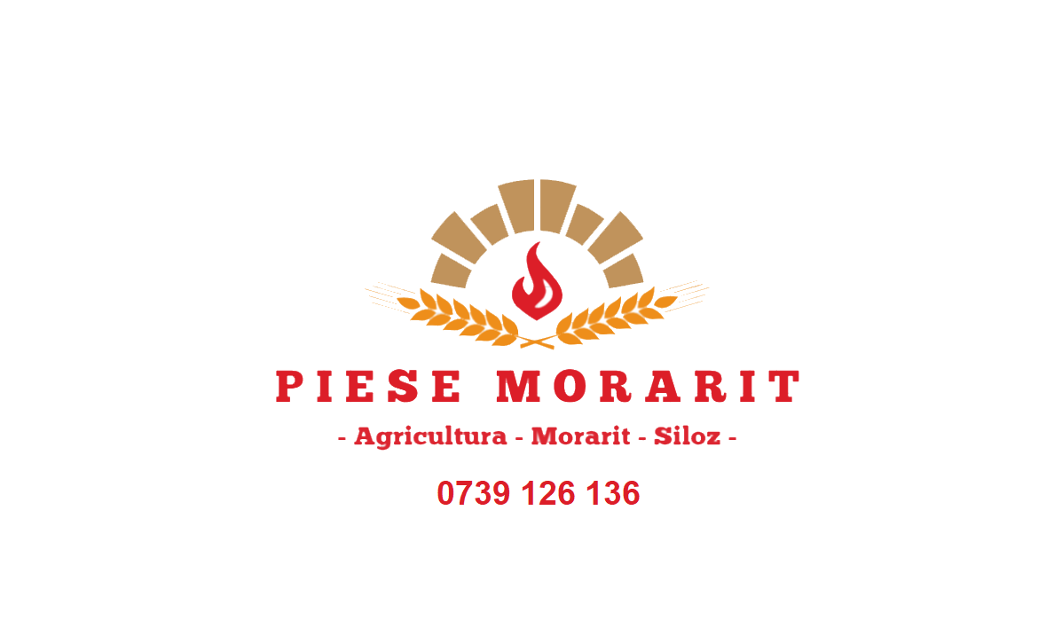 Convertizoare de frecventa monofazate LS – iC5