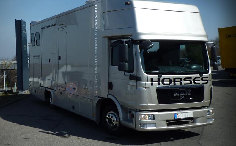 Camione trasport cai clasa compacta