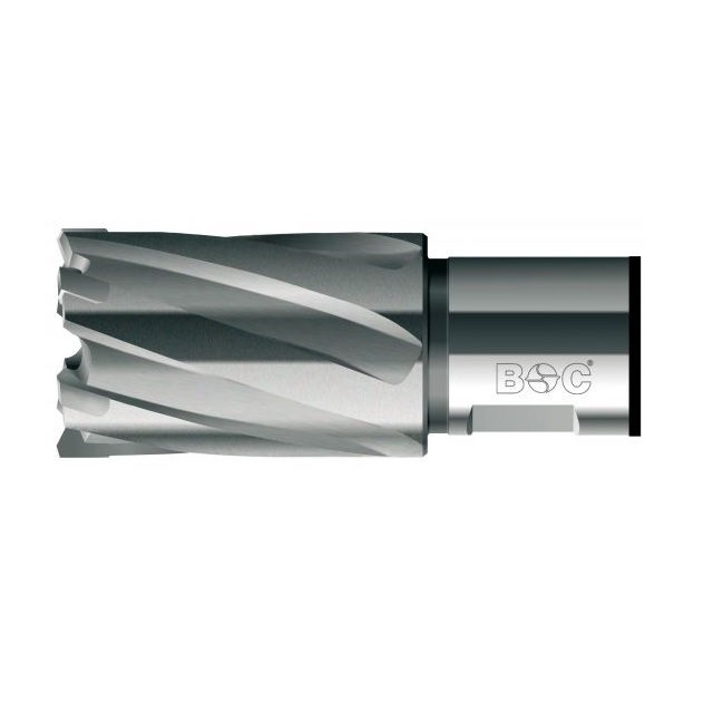 Carota placata HM cu prindere Weldon (3/4”), DIM 20.0 ( 19520302011 )
