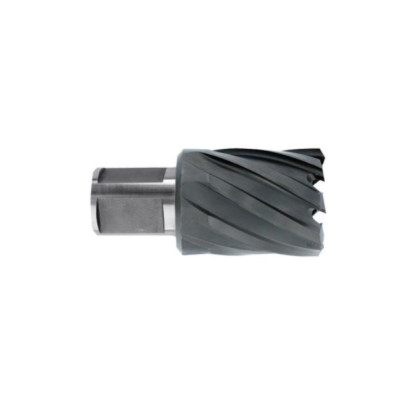 Carota HSS-TiAlN cu prindere Weldon, DIM 12 ( 10370011200 )