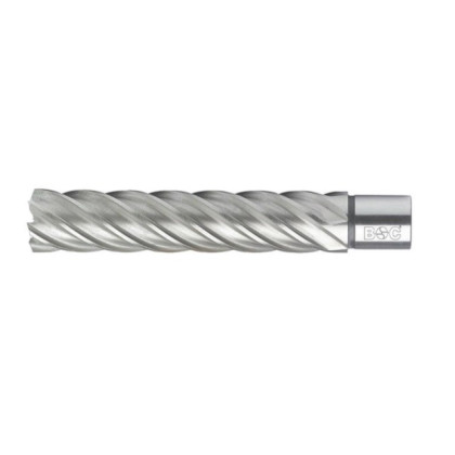 Carota HSS cu prindere Weldon (3/4”), L 110 mm, DIM 32.0 ( 19500303211 )