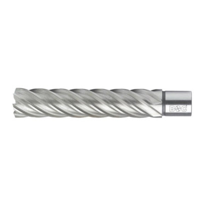 Carota HSS cu prindere Weldon (3/4”), L 110 mm, DIM 20.0 ( 19500302011 )
