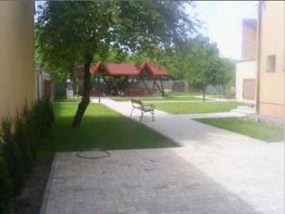 Pomi fructiferi