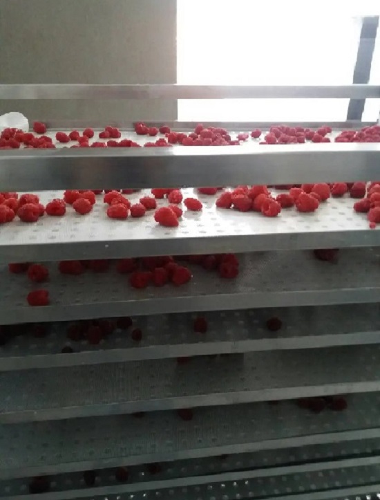 Uscator fructe si legume-200 kg/sarja