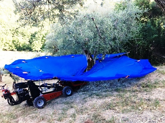 Utilaj autopropulsat pentru recoltat pomii fructiferi