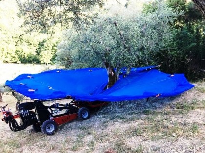 Utilaj autopropulsat pentru recoltat pomii fructiferi