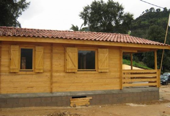 Casa lemn Susini