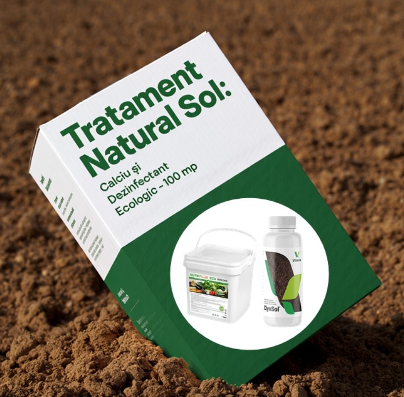 Tratament natural pentru sol: corectarea carenței de calciu și dezinfectare ecologică cu Clynsol
