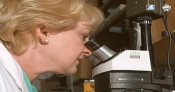 Laborator analize medicale Bacau