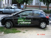 Inscriptionari auto Pitesti