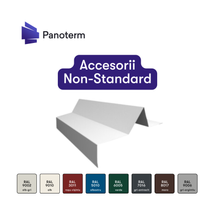 Accesorii Non-Standard