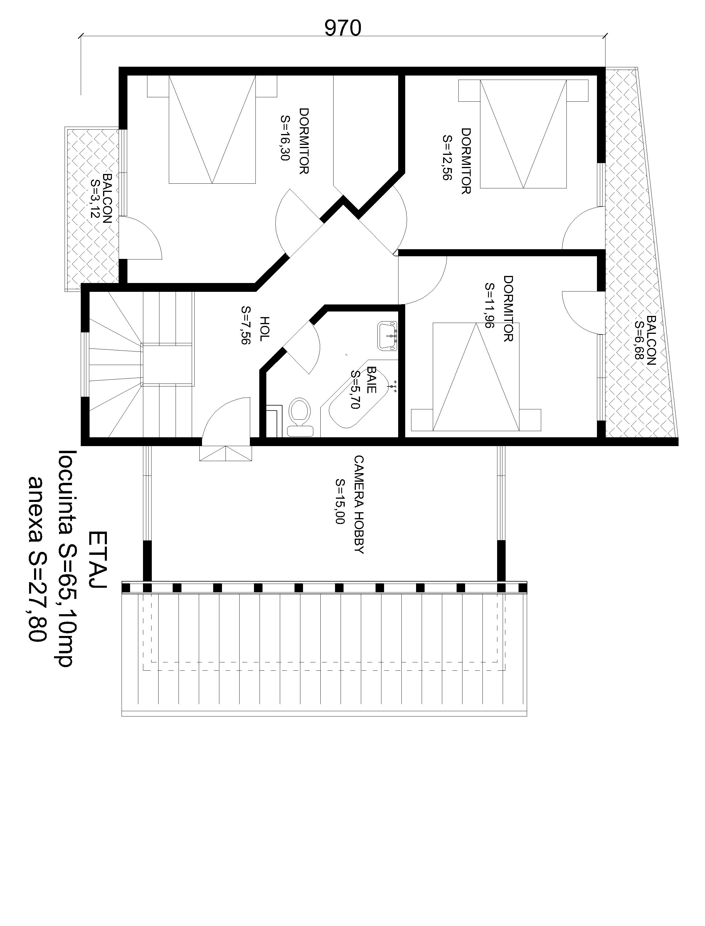 Constructii case din lemn 7