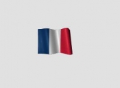 Traduceri limba franceza
