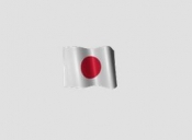 Traduceri limba japoneza