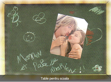 Mobilier PAL si lemn masiv