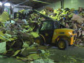 Colectare carton Bucuresti