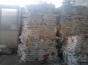 Colectare carton Bucuresti