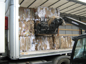 Colectare carton Bucuresti