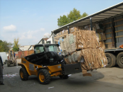 Colectare carton Bucuresti