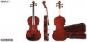 Viola