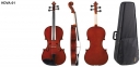 Viola